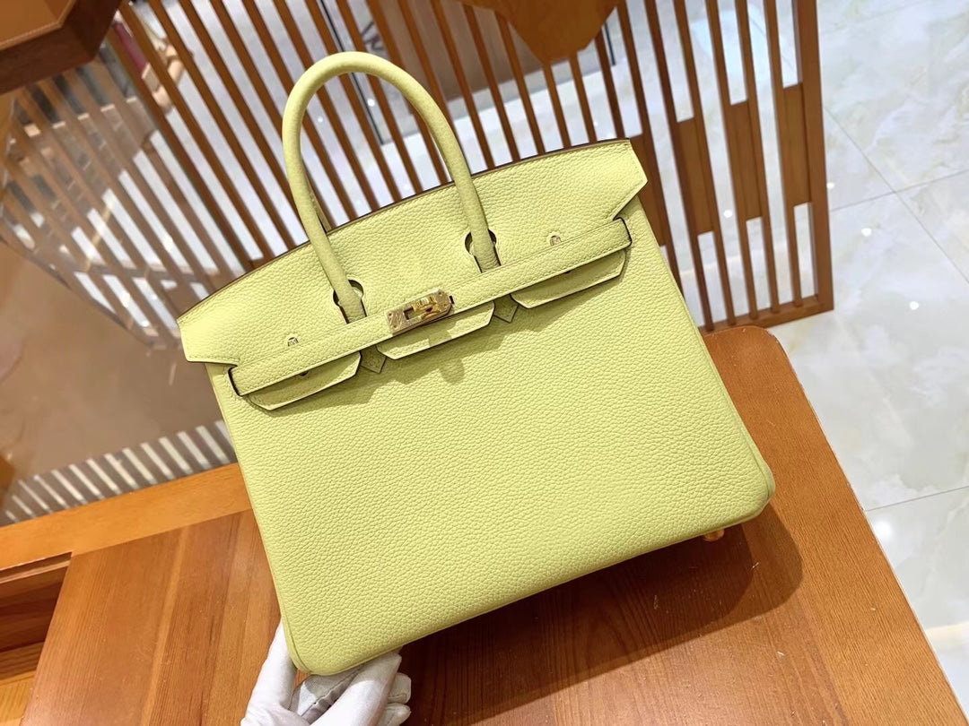 Birkin 25 Togo Bag Gold Hardware