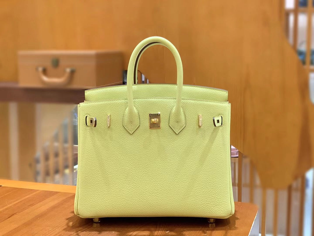 Birkin 25 Togo Bag Gold Hardware