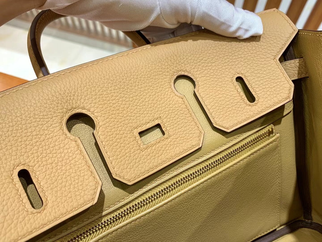 Birkin 25 Togo Bag Gold Hardware