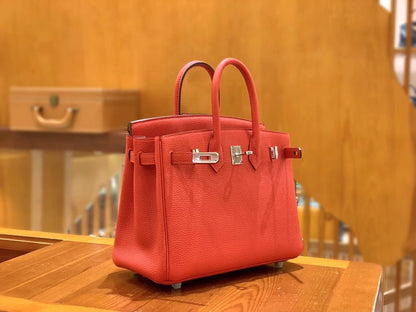 Birkin 25 Togo Bag Palladium Hardware