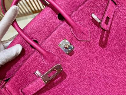 Birkin 25 Togo Bag Palladium Hardware