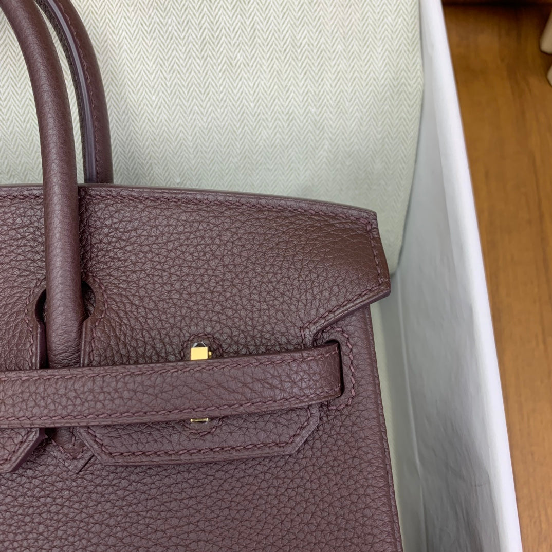 Birkin 25 Bordeaux Handbag Togo