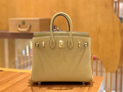 Birkin 25 Togo Bag Gold Hardware