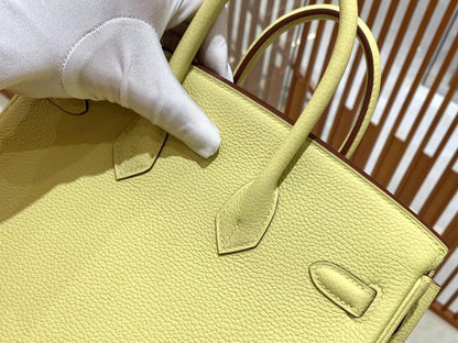 Birkin 25 Togo Bag Gold Hardware