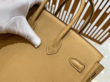 Birkin 25 Togo Bag Gold Hardware