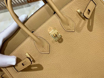 Birkin 25 Togo Bag Gold Hardware