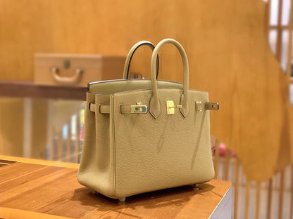 Birkin 25 Togo Bag Gold Hardware