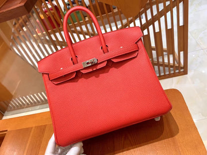 Birkin 25 Togo Bag Palladium Hardware