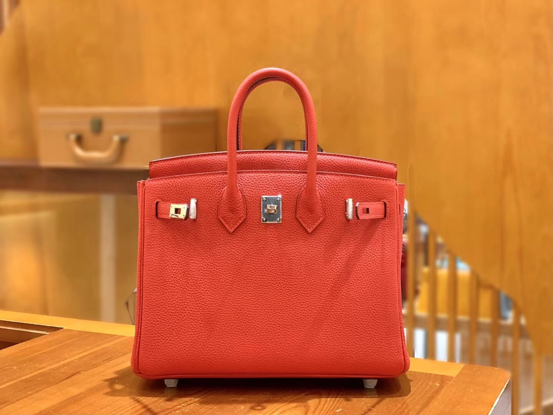 Birkin 25 Togo Bag Palladium Hardware