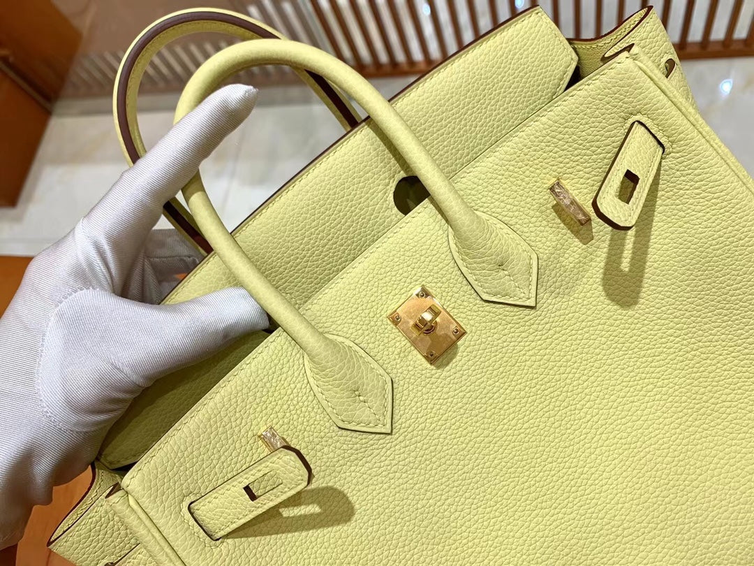 Birkin 25 Togo Bag Gold Hardware