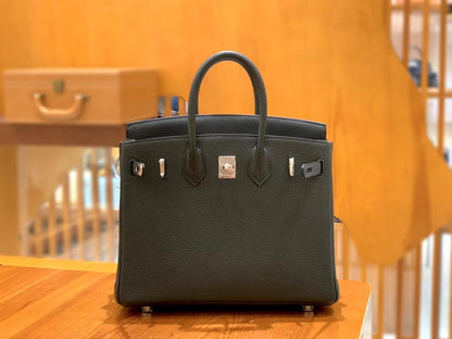 Birkin 25 Togo Bag Palladium Hardware