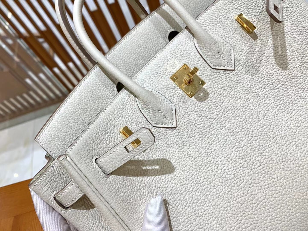 Birkin 25 Togo Bag Gold Hardware