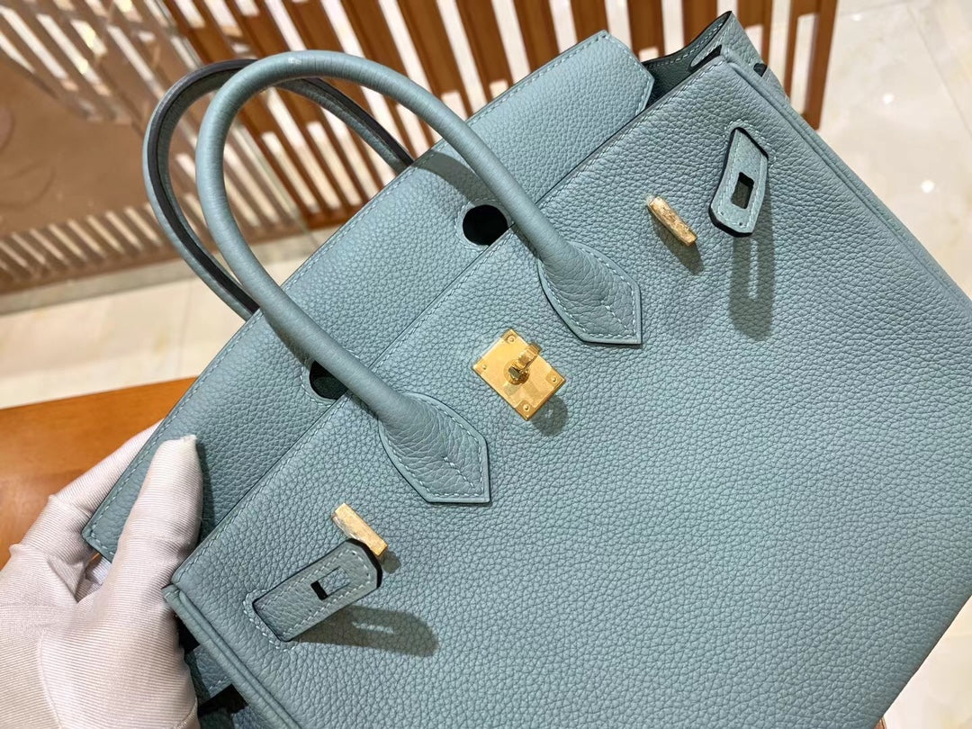 Birkin 25 Togo Bag Gold Hardware