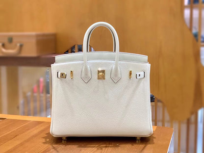 Birkin 25 Togo Bag Gold Hardware