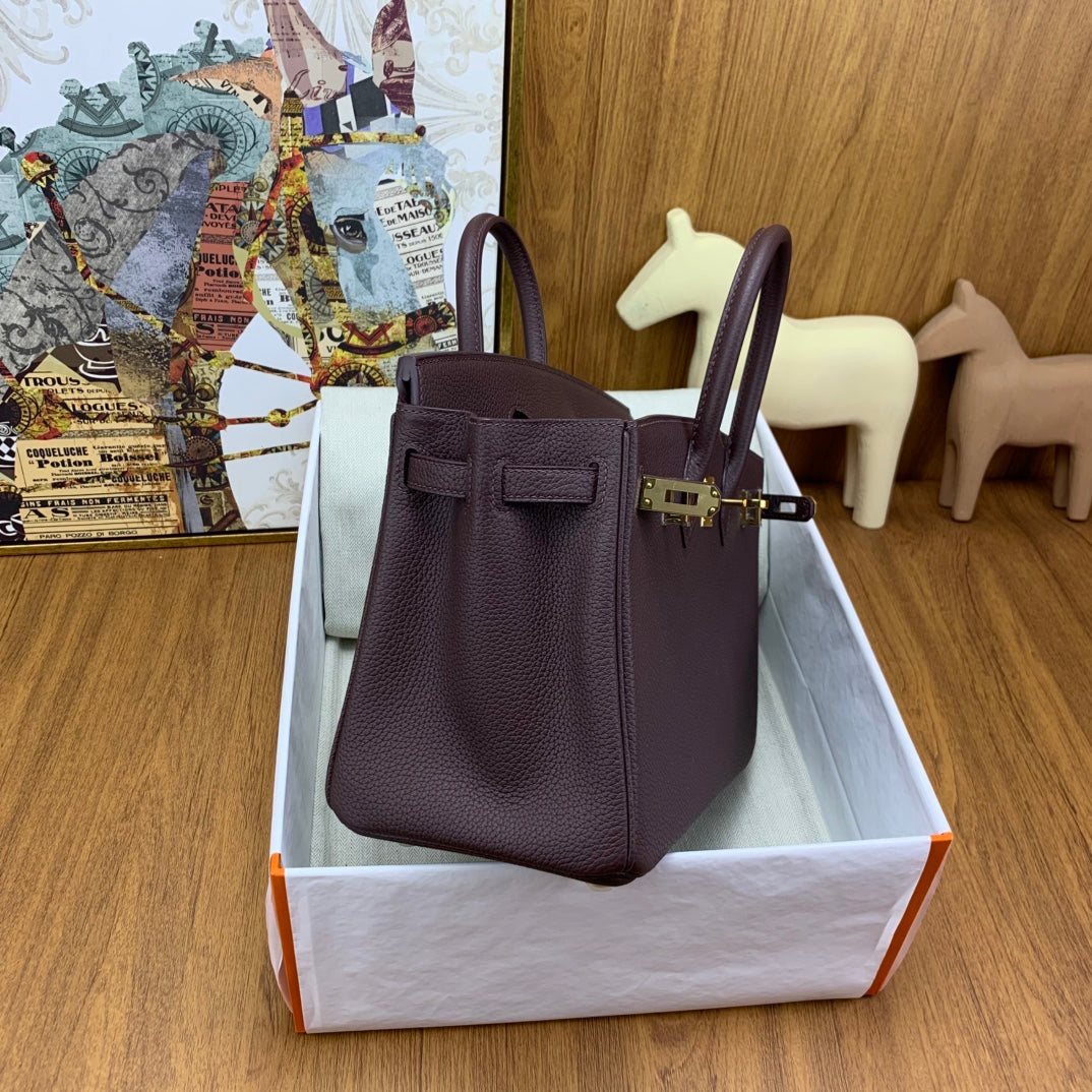 Birkin 25 Bordeaux Handbag Togo