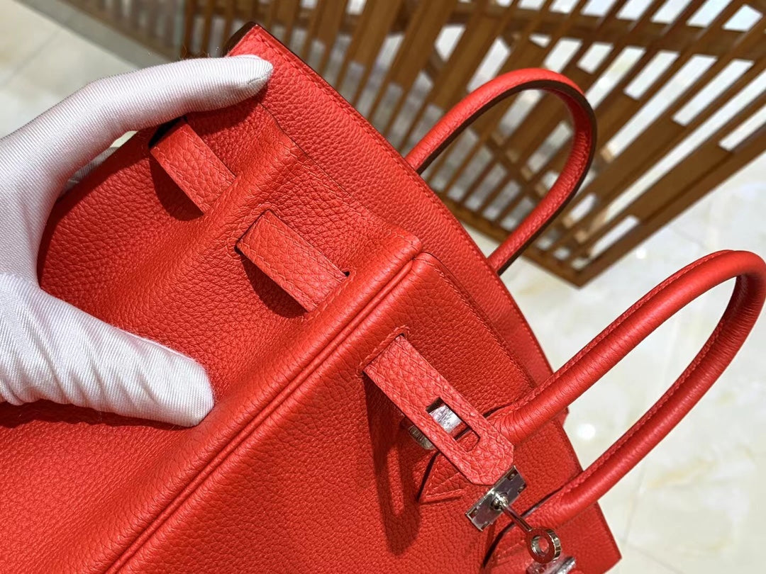 Birkin 25 Togo Bag Palladium Hardware