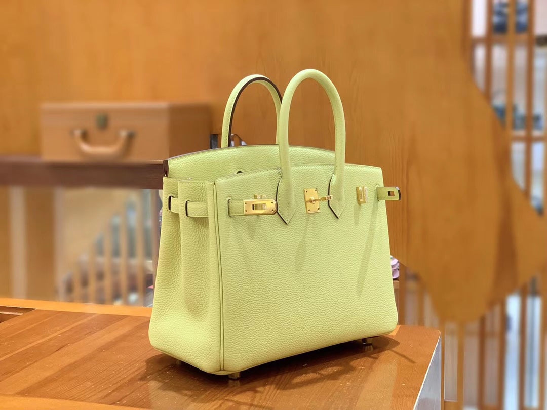 Birkin 25 Togo Bag Gold Hardware